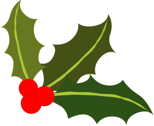 holly